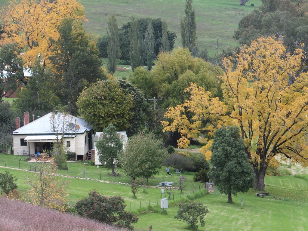 Elm Cabaña Tumut Exterior foto